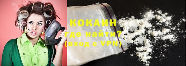 гашик Козловка