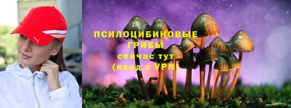 гашик Козловка