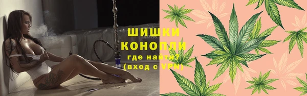 гашик Козловка