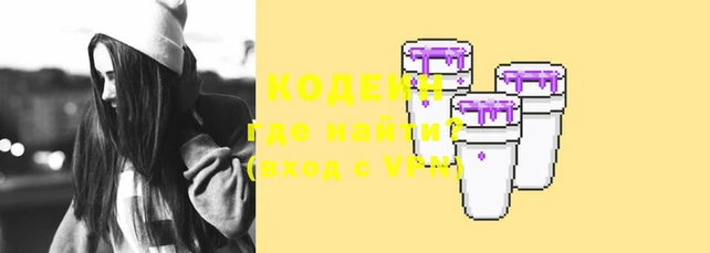 гашик Козловка