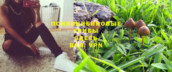 эйфоретик Козельск