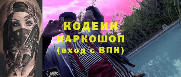 гашик Козловка