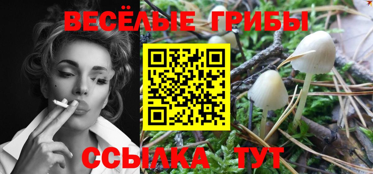 Псилоцибиновые грибы GOLDEN TEACHER Новоалтайск