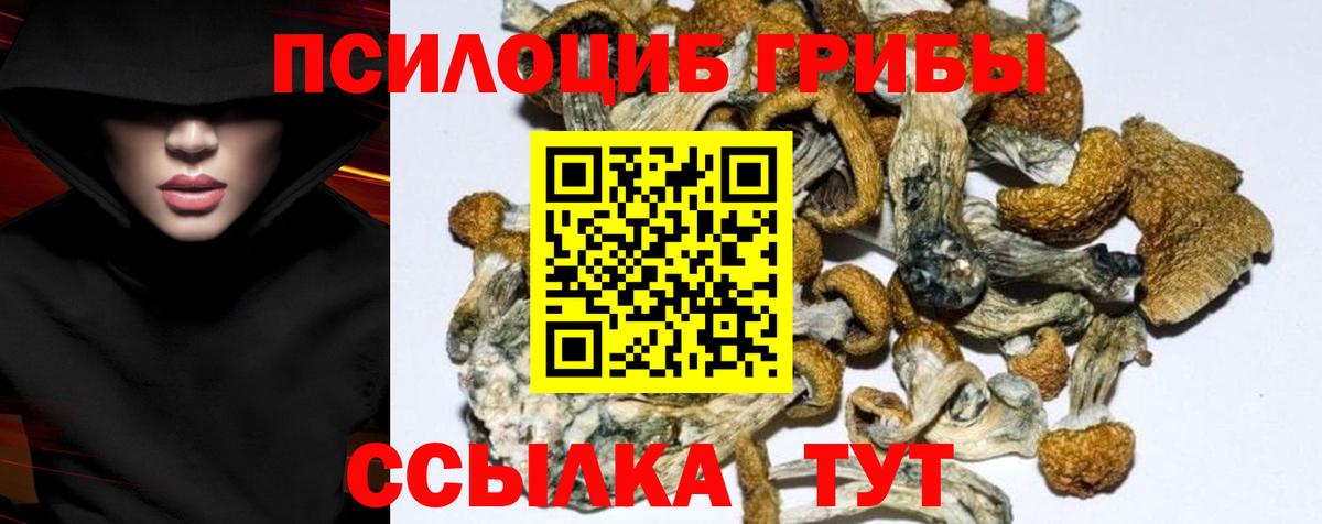 Галлюциногенные грибы мицелий  Вход с VPN  Новоалтайск 